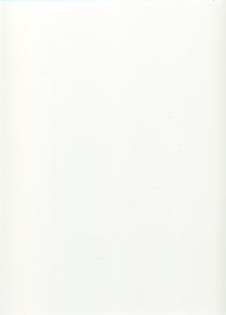 PVC Cladding Panels - Shiny White Effect